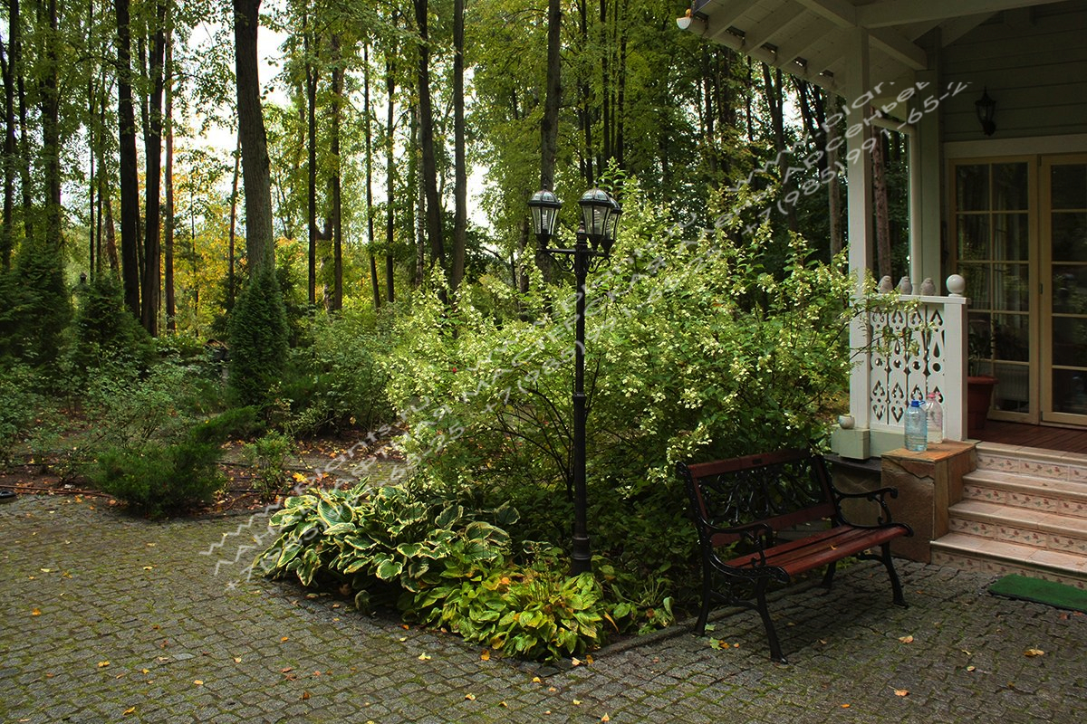 Цветник с гортензией и скамейка для отдыха у входа в дом